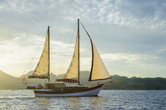 bateau type goelette a vendre Marmaris Turquie